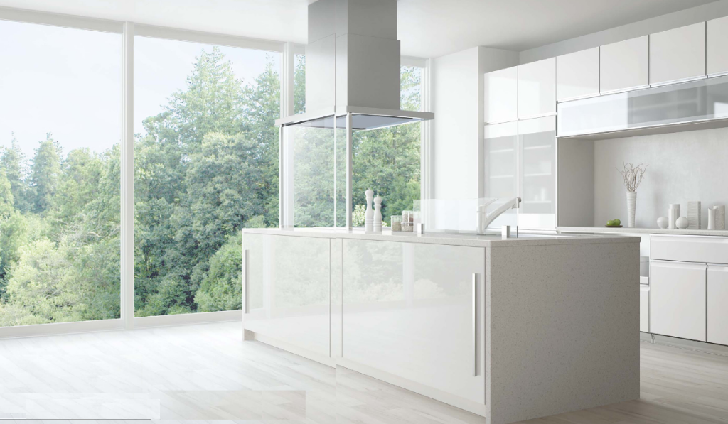 タカラ　レミュー１